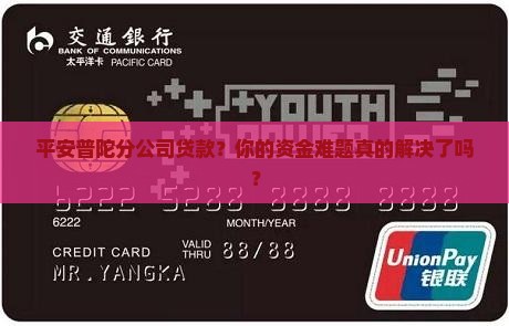 平安普陀分公司贷款