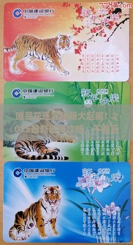 唯品花消费贷款怎么还