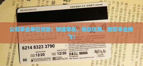 公司事业单位贷款