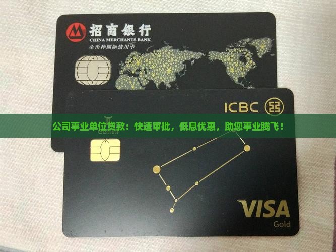 公司事业单位贷款