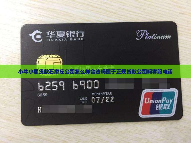 小牛小额贷款石家庄公司