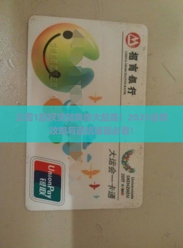 公司1股权贷款