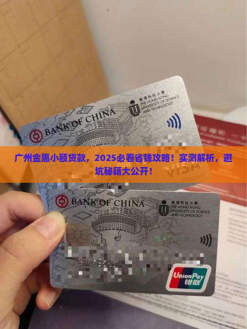 广州金惠小额贷款