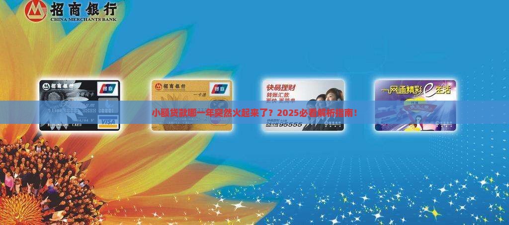 小额贷款哪一年爆发的