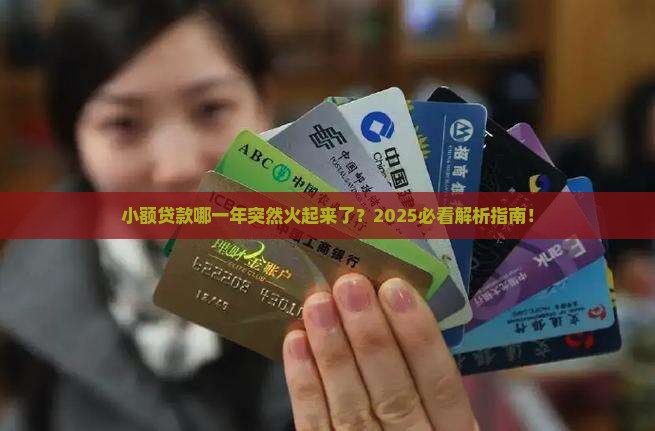 小额贷款哪一年爆发的