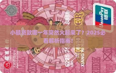 小额贷款哪一年爆发的