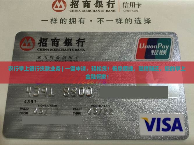 农行掌上银行贷款业务