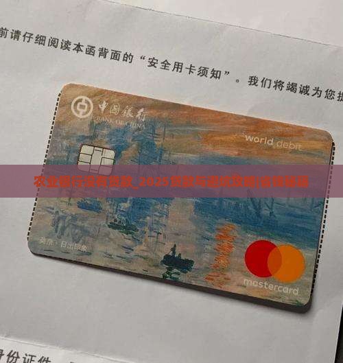 农业银行没有贷款