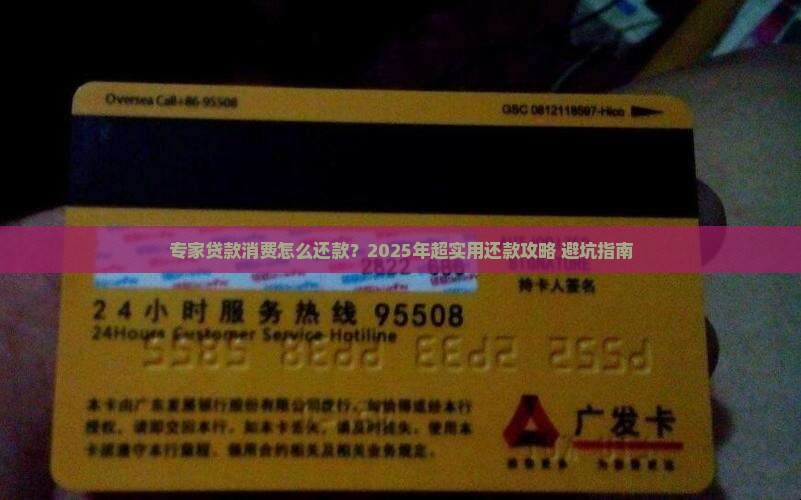 专家贷款消费怎么还款