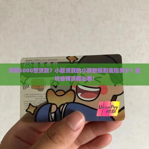 小额贷款的小额数额是指
