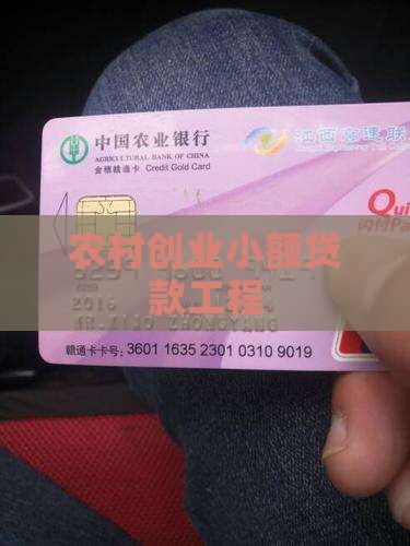 农村创业小额贷款工程