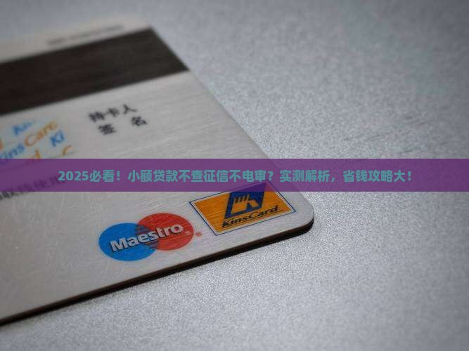 小额贷款不征信不电审的