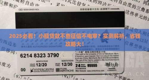 小额贷款不征信不电审的