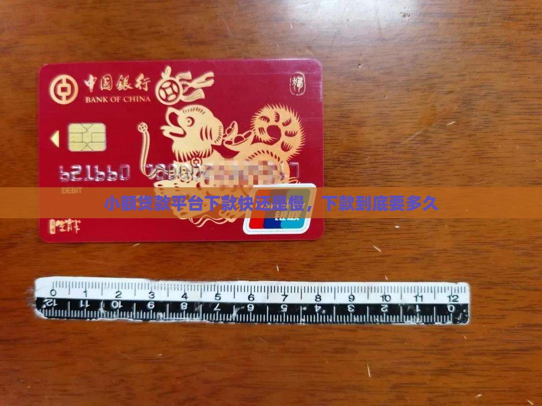 小额贷款平台下款快还是慢
