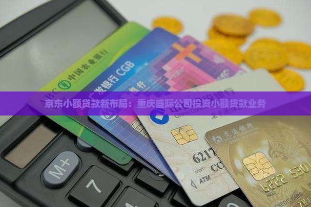 京东小额贷款新布局：重庆盛际公司投资小额贷款业务