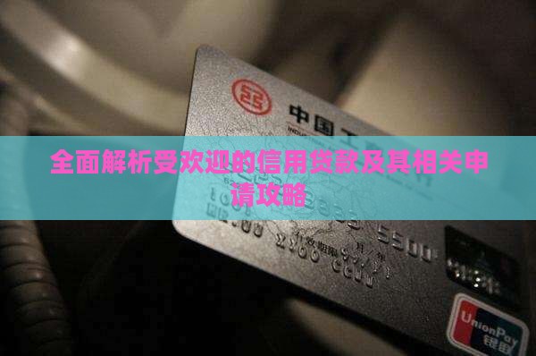 全面解析受欢迎的信用贷款及其相关申请攻略