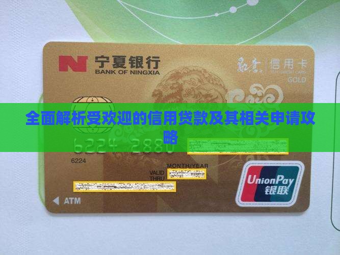 全面解析受欢迎的信用贷款及其相关申请攻略