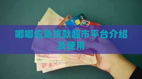 嘟嘟应急贷款超市平台介绍及使用