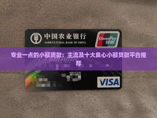 专业一点的小额贷款：主流及十大良心小额贷款平台推荐