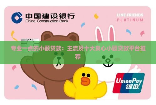 专业一点的小额贷款：主流及十大良心小额贷款平台推荐