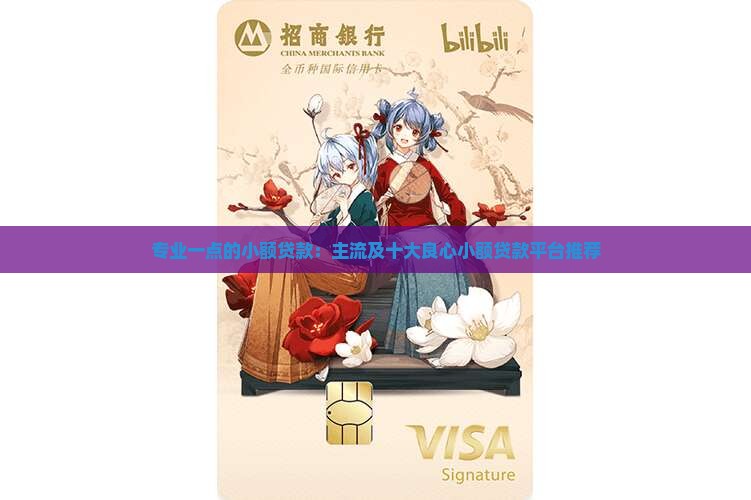 专业一点的小额贷款：主流及十大良心小额贷款平台推荐