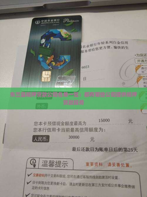 东兰县抵押贷款公司名单一览:都有哪些公司提供抵押贷款服务 东兰县抵押贷款公司名单一览:都有哪些公司提供抵押贷款服务