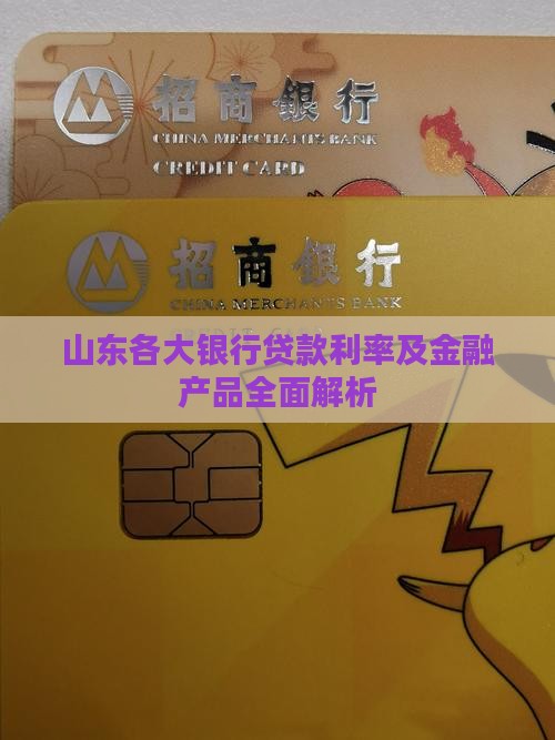 山东各大银行贷款利率及金融产品全面解析