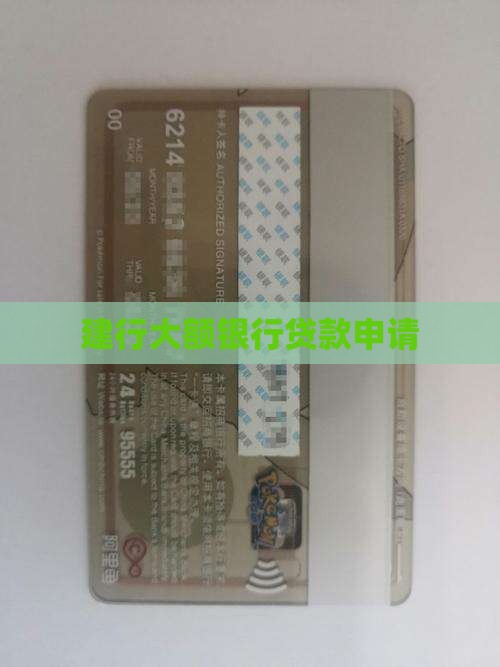建行大额银行贷款申请
