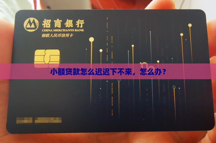 小额贷款怎么迟迟下不来，怎么办？