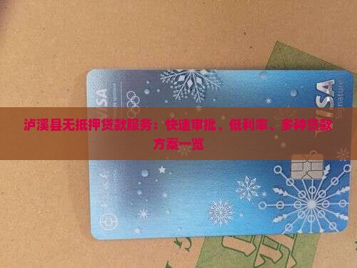 泸溪县无抵押贷款服务：快速审批、低利率、多种贷款方案一览