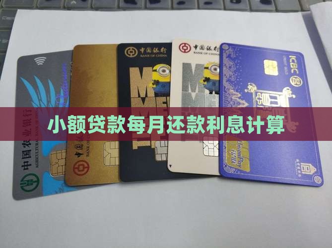 小额贷款每月还款利息计算