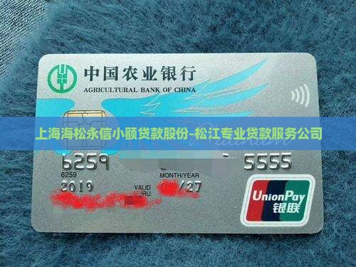 上海海松永信小额贷款股份-松江专业贷款服务公司