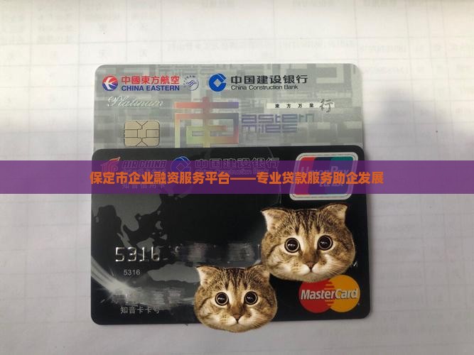保定市企业融资服务平台——专业贷款服务助企发展