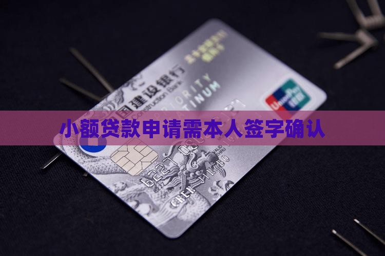 小额贷款申请需本人签字确认