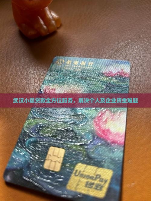 武汉小额贷款全方位服务，解决个人及企业资金难题