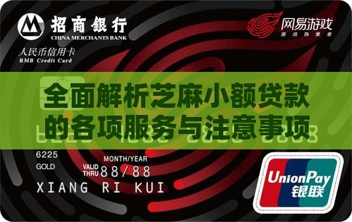 全面解析芝麻小额贷款的各项服务与注意事项
