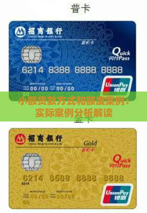 小额贷款方式和额度案例：实际案例分析解读
