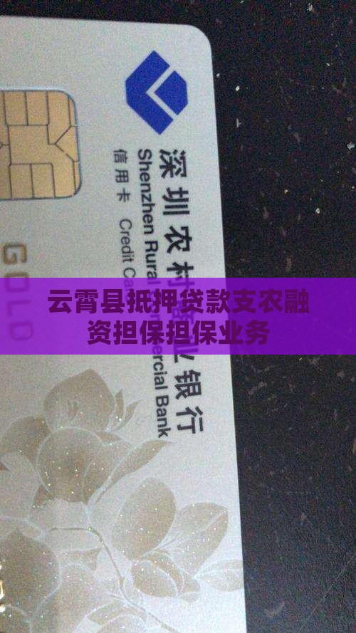 云霄县抵押贷款支农融资担保担保业务