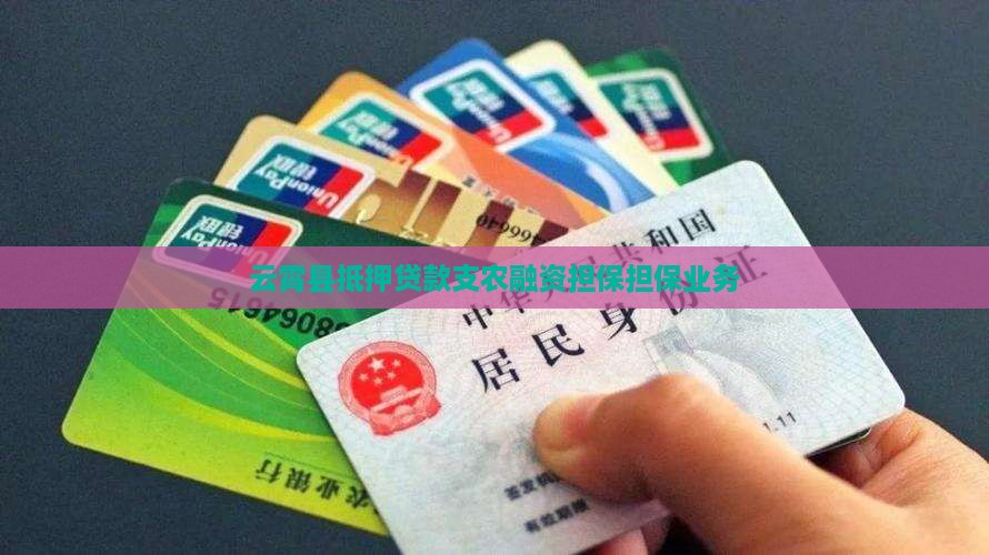 云霄县抵押贷款支农融资担保担保业务