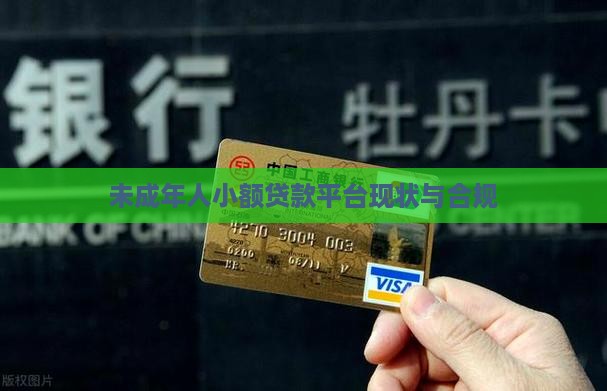 未成年人小额贷款平台现状与合规