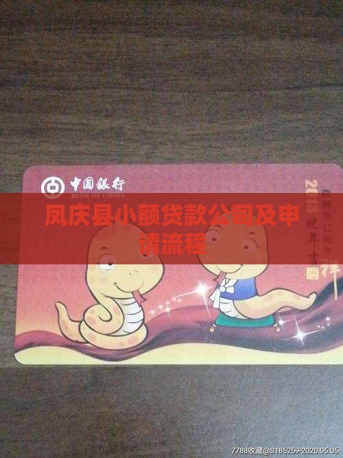 凤庆县小额贷款公司及申请流程