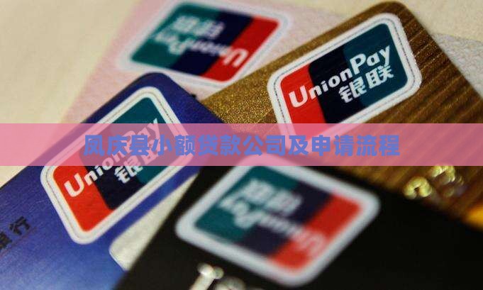 凤庆县小额贷款公司及申请流程