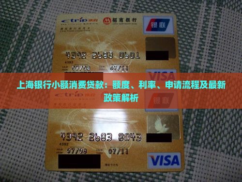 上海银行小额消费贷款：额度、利率、申请流程及最新政策解析