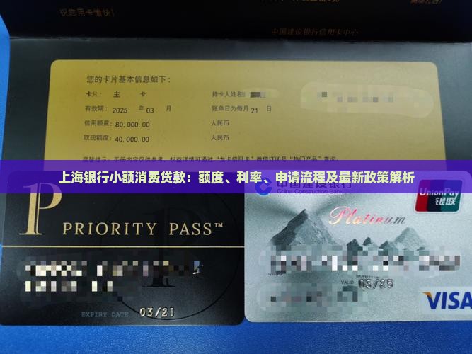 上海银行小额消费贷款：额度、利率、申请流程及最新政策解析