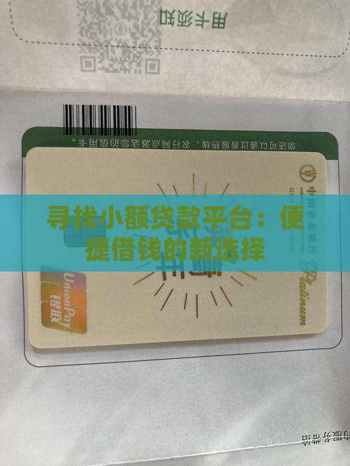 寻找小额贷款平台：便捷借钱的新选择