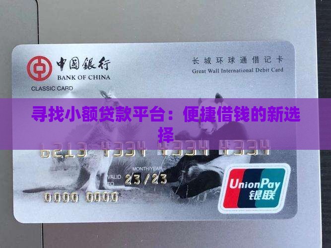 寻找小额贷款平台：便捷借钱的新选择