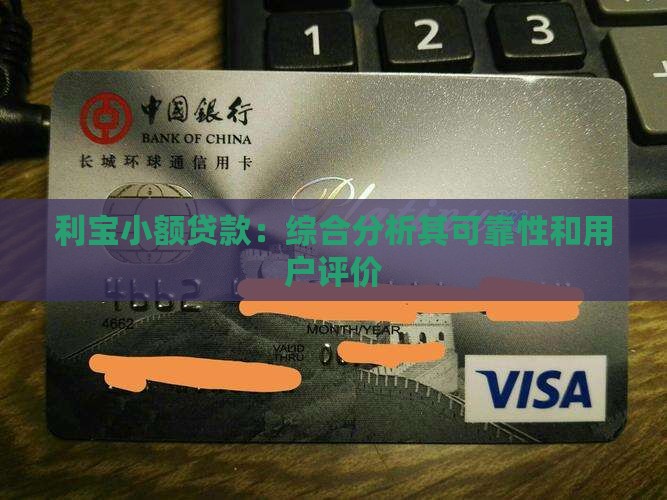 利宝小额贷款：综合分析其可靠性和用户评价