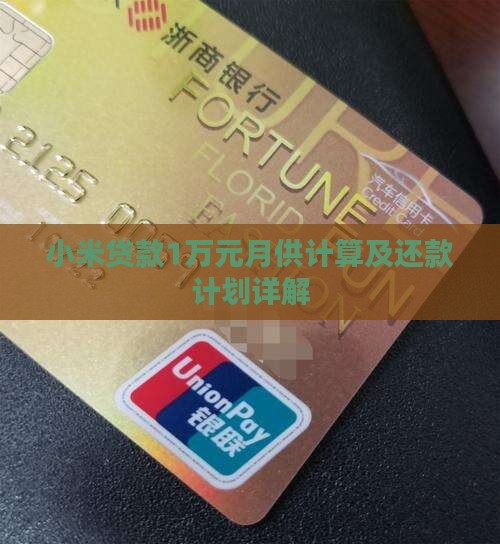 小米贷款1万元月供计算及还款计划详解
