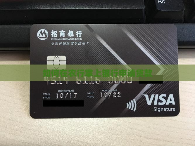 如何在农行掌上银行申请贷款