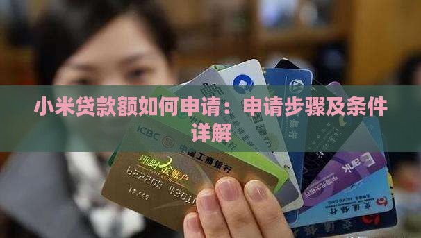 小米贷款额如何申请：申请步骤及条件详解